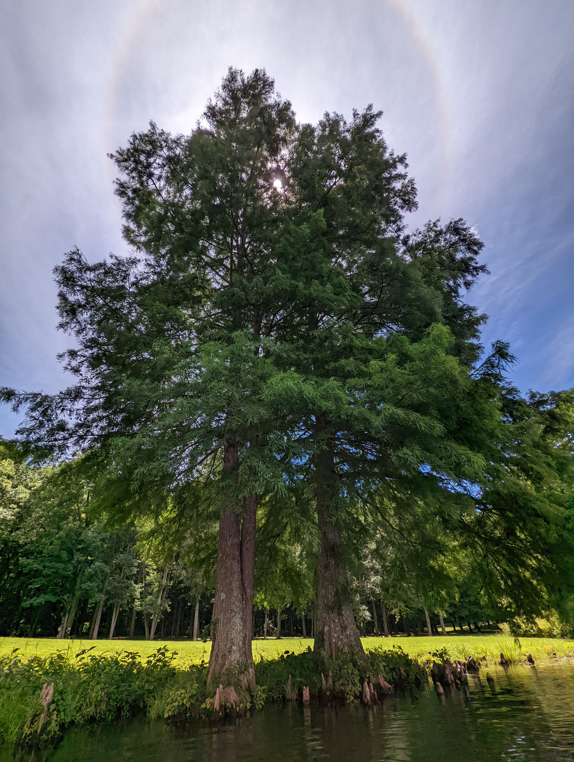 PXL 20220812 182222698